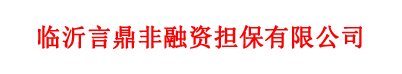 临沂言鼎非融资担保有限公司